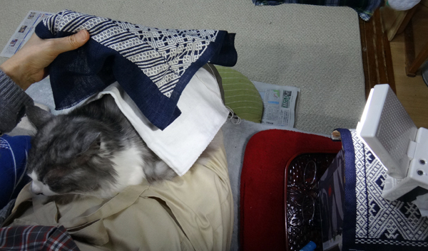 こぎんと猫と、主役はどっち? 馬のクツワで大物に挑戦2♪_a0136293_15382046.jpg