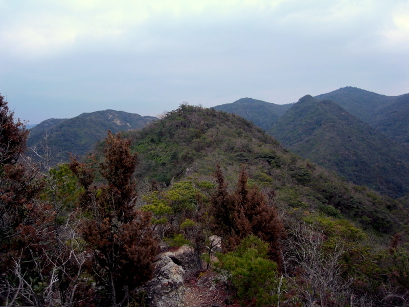 f0325295_14534940.jpg