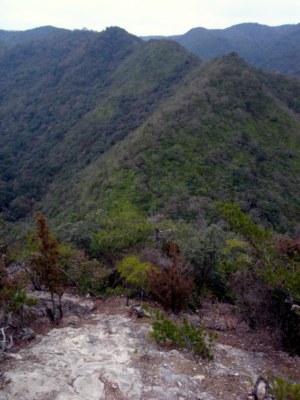 f0325295_14540276.jpg