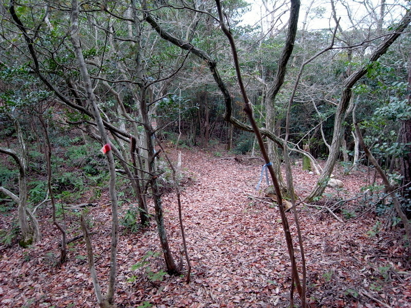 f0325295_14540608.jpg
