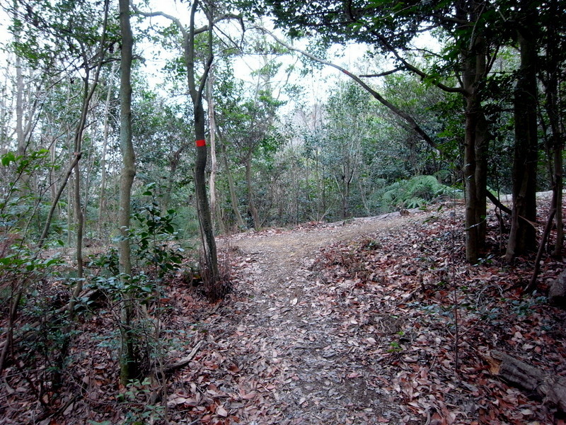 f0325295_14552420.jpg
