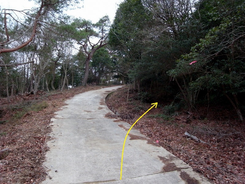 f0325295_15350889.jpg