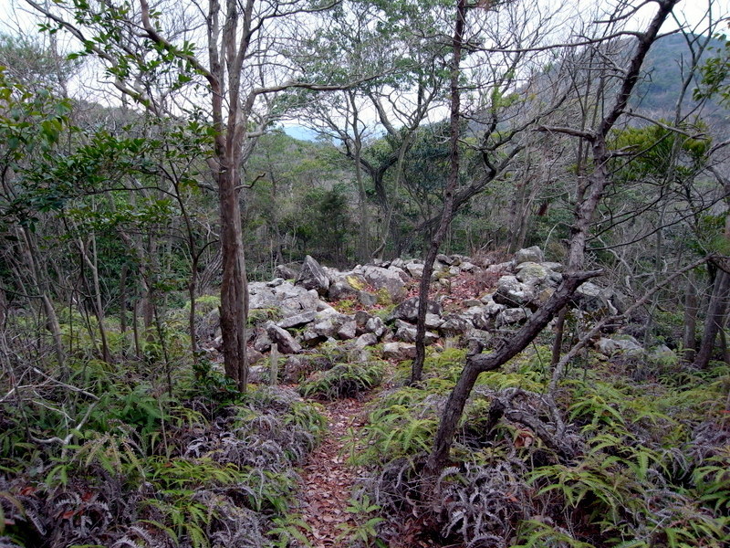 f0325295_15351292.jpg
