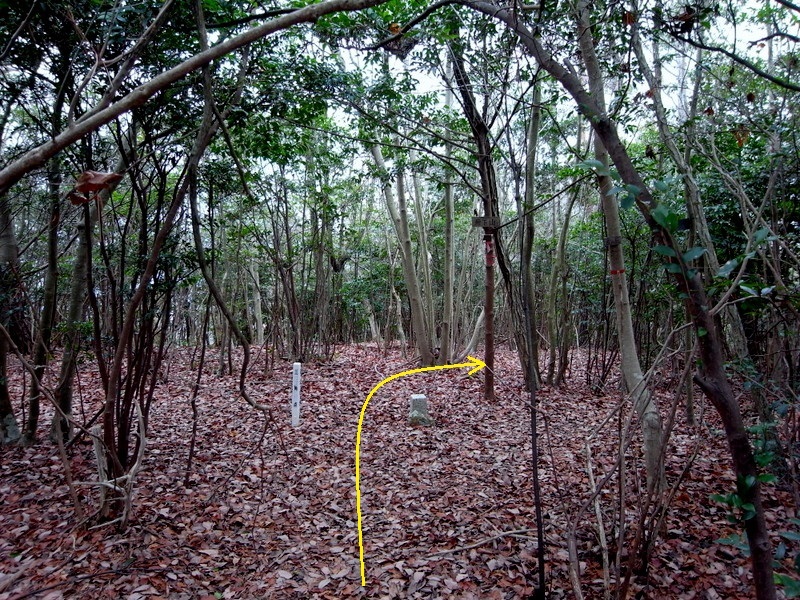 f0325295_15351697.jpg