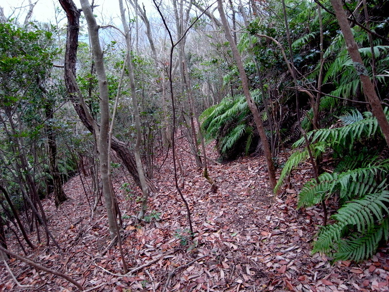 f0325295_15352052.jpg