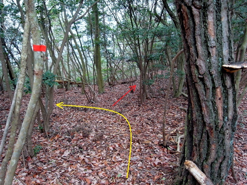 f0325295_15352440.jpg