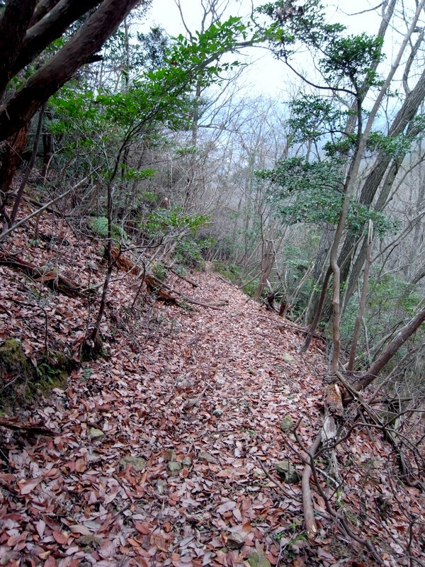 f0325295_15353200.jpg