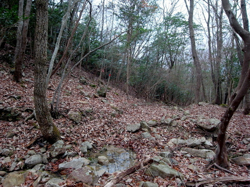 f0325295_15353547.jpg