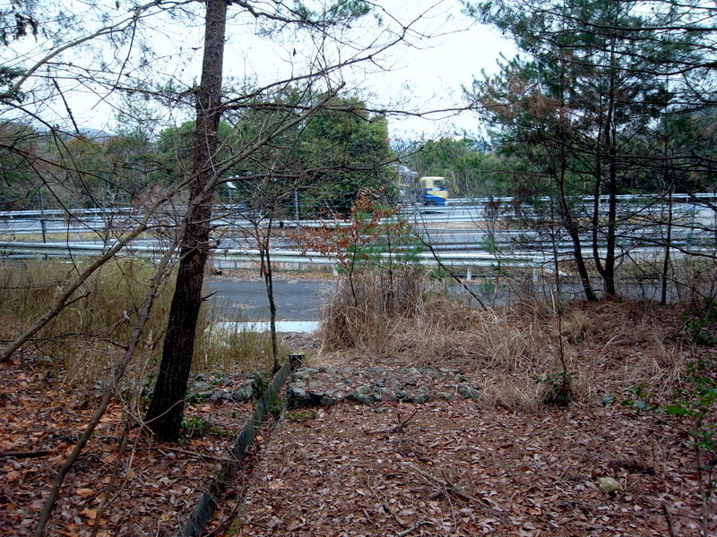 f0325295_15362801.jpg