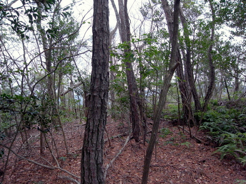 f0325295_15525182.jpg
