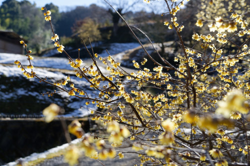 e0366896_23225471.jpg