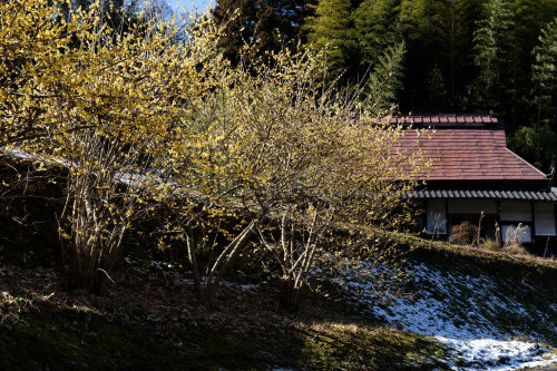 e0366896_23231094.jpg