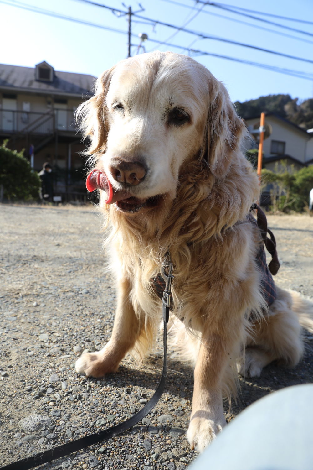 元気だった日。池の公園へ♪_b0275998_11462001.jpg