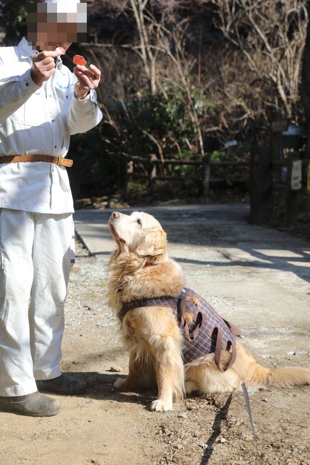 元気だった日。池の公園へ♪_b0275998_12030953.jpg