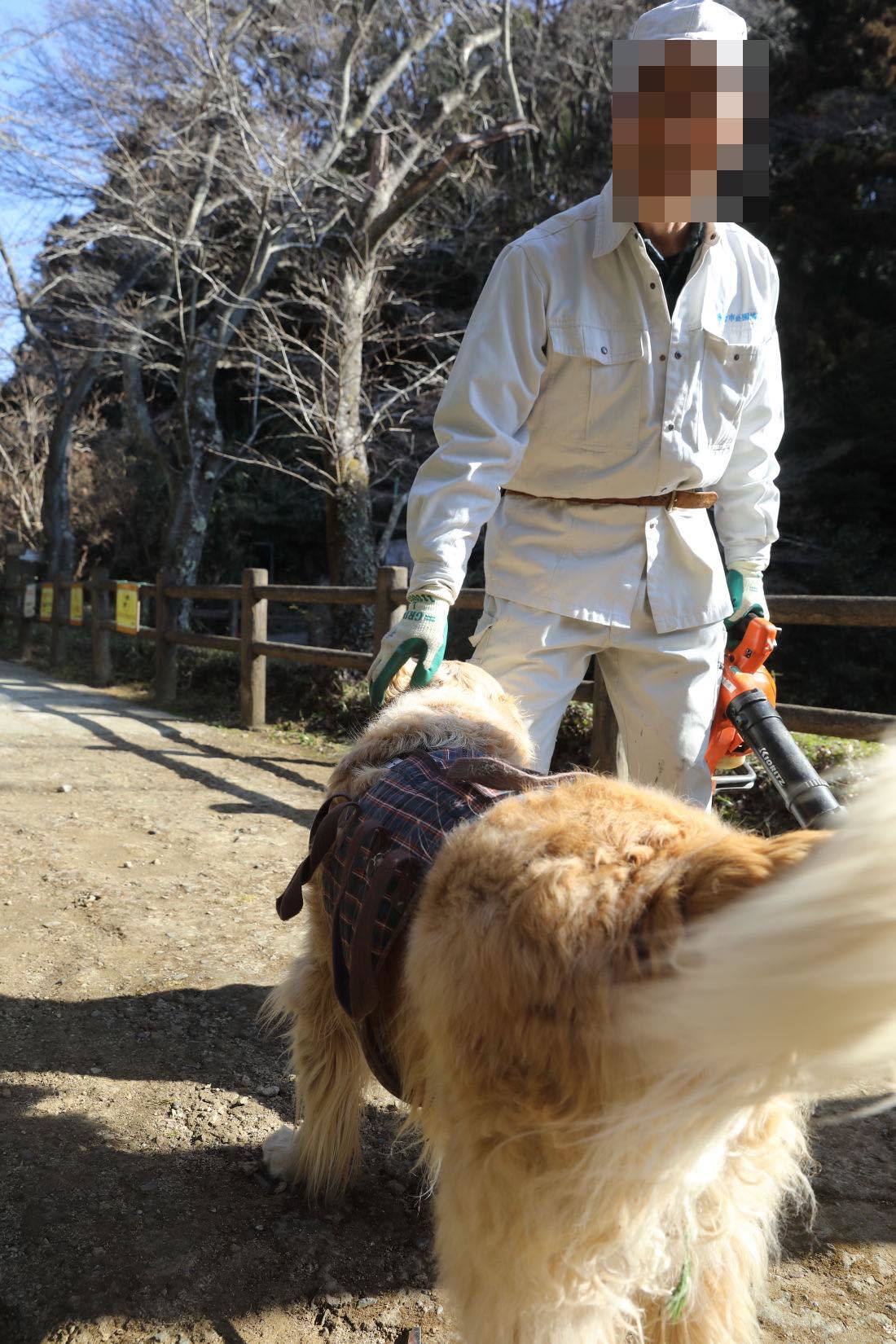 元気だった日。池の公園へ♪_b0275998_12051753.jpg