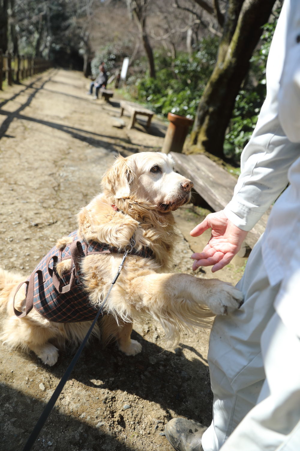 元気だった日。池の公園へ♪_b0275998_12575519.jpg