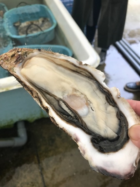 c0130206_22041162.jpeg
