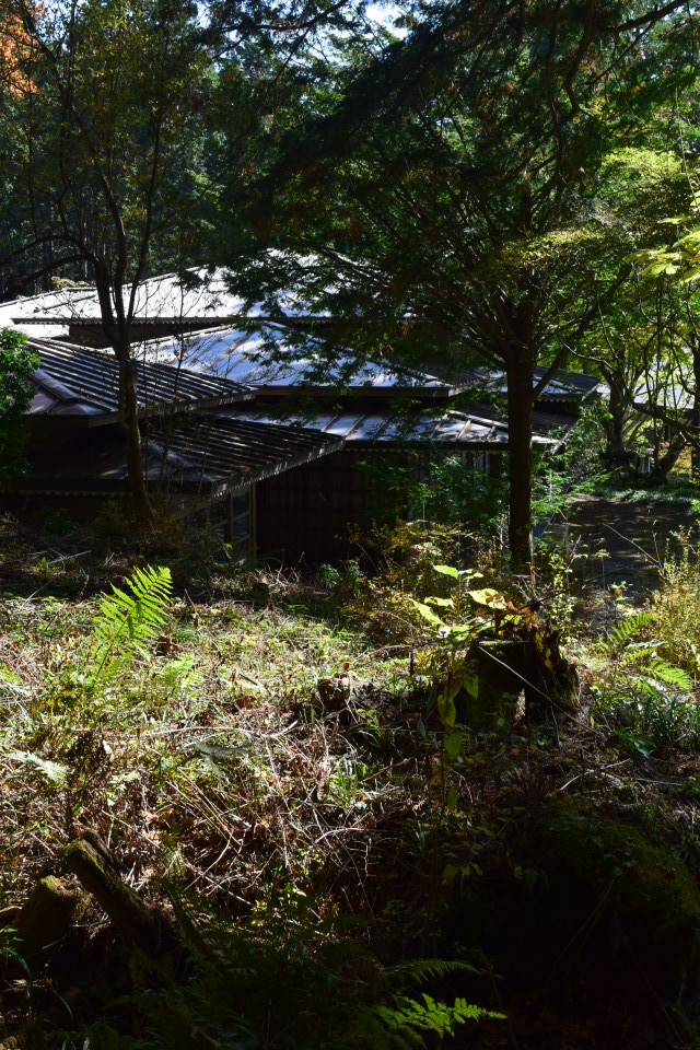 建築家・関根要太郎、生誕130年・没後60年(その2)_f0142606_09491975.jpg