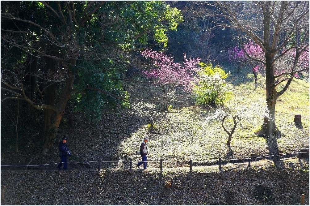 2月の風景_c0352813_10270664.jpg