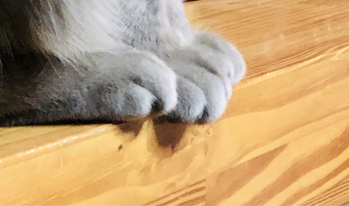 c0229025_22404810.jpg