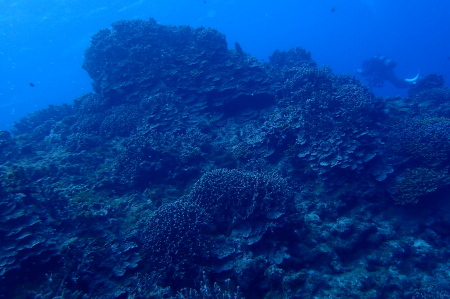 19.2.22 浮原周辺で!_b0100730_19450244.jpg