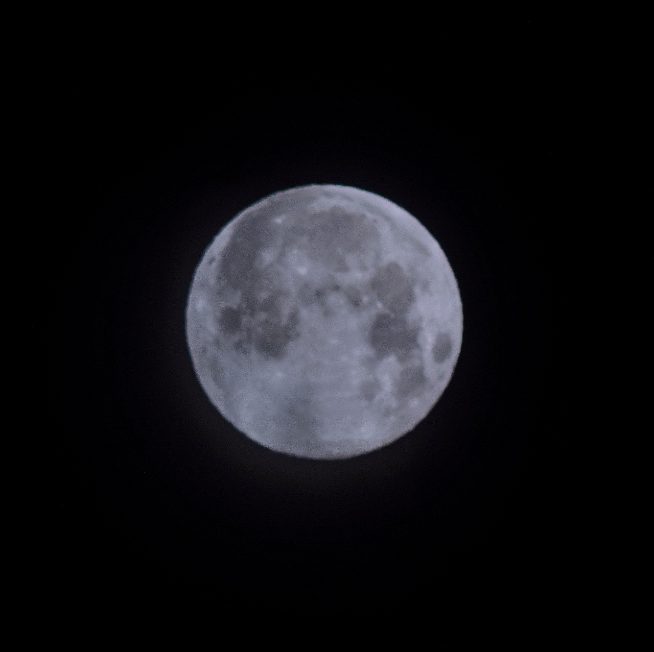 e0321032_19513715.jpg