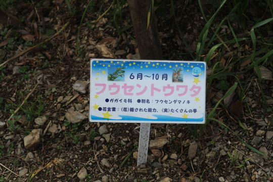e0272335_16571446.jpg