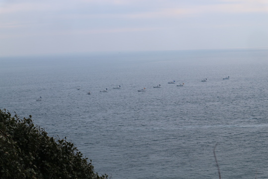e0272335_17162132.jpg