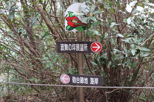 e0272335_17214447.jpg