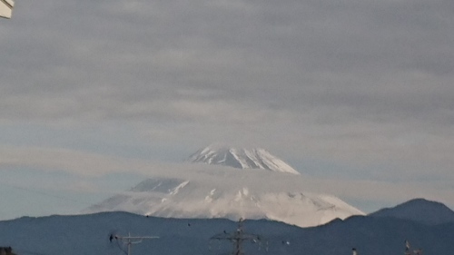 今日の富士山と私の好きな花達に元気もらいます_d0390236_08481965.jpg