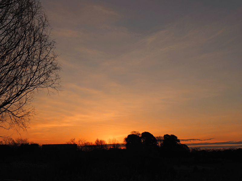 d0290240_09532927.gif