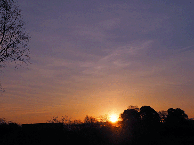 d0290240_09533731.gif