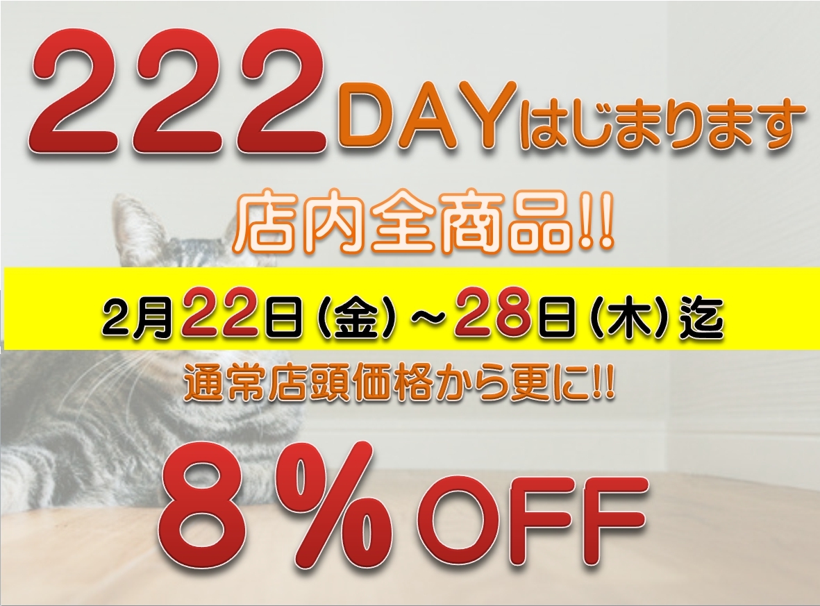 222DAY はじまりました!!!_d0005644_16395025.jpg