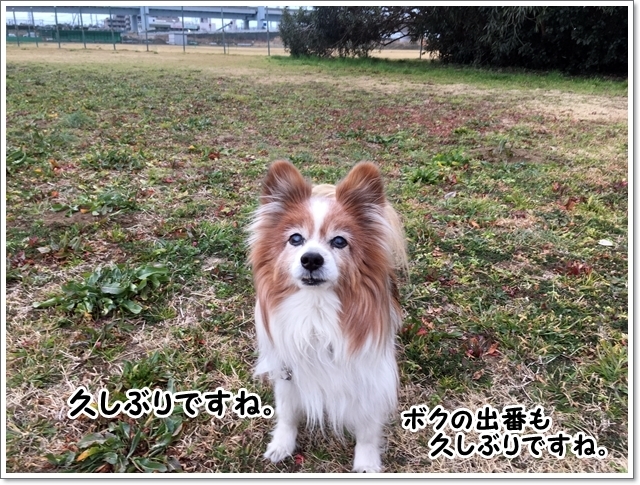 食フンに泣く いや 怒る くろわんこ日記