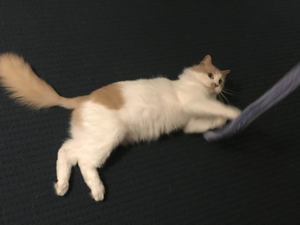 f0304452_13101561.jpeg