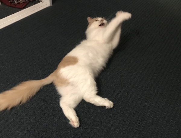 f0304452_13110788.jpeg