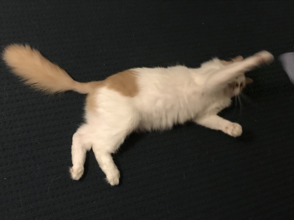 f0304452_13121697.jpeg
