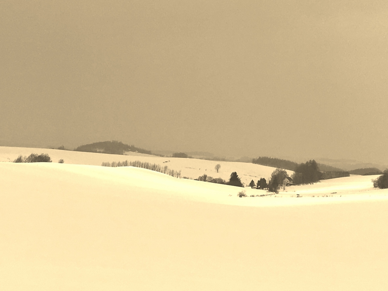 e0326953_14014810.jpg