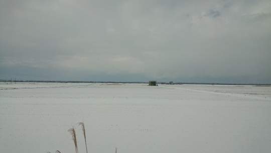 c0328559_14514100.jpg