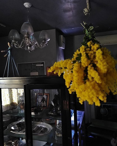 c0172261_08021317.jpg