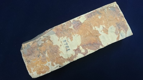 天然砥石 仕上砥2_b0114781_12012014.jpg