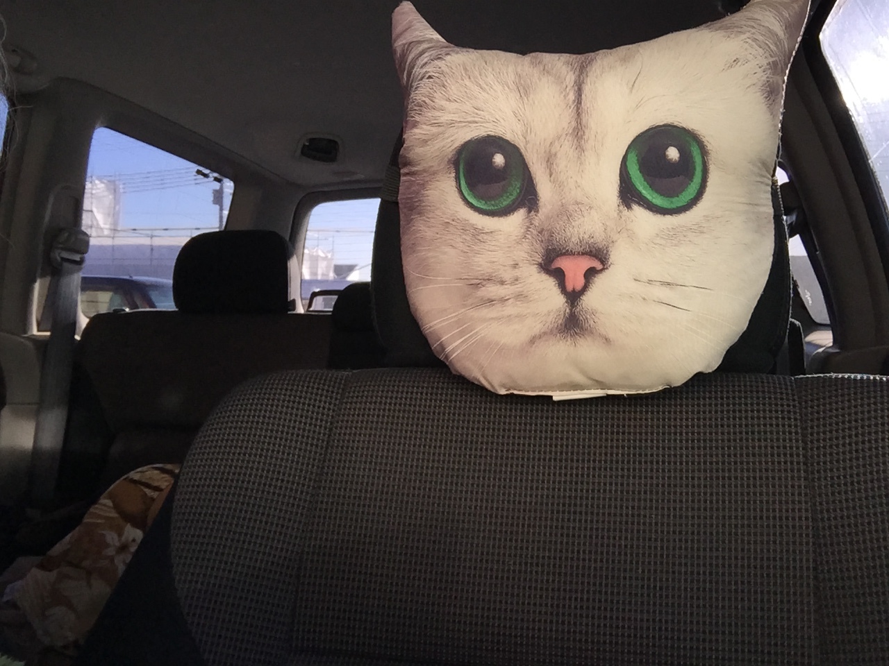 b0163381_21081777.jpeg