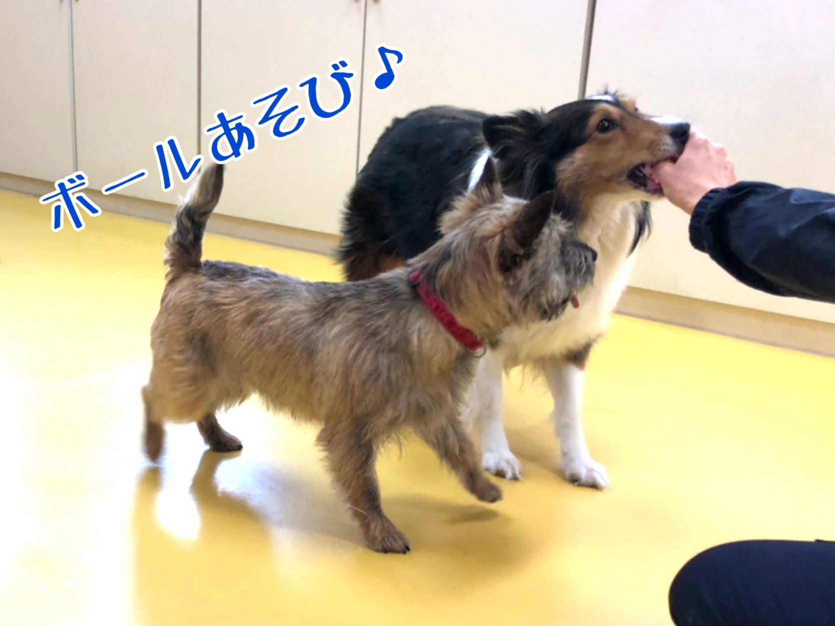 トレーニングブログ_f0357682_21255242.jpeg