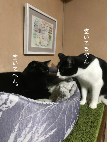 a0216583_23283891.png
