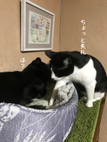 a0216583_23284256.png