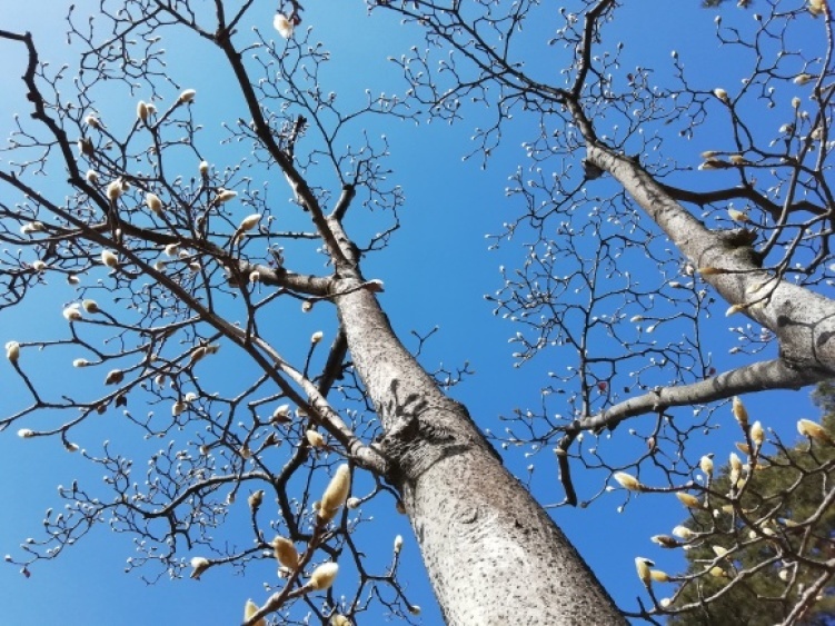 c0212083_19542163.jpg