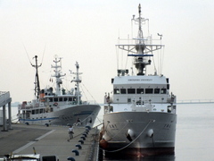 b0192588_8134183.jpg
