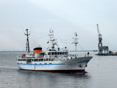 b0192588_8143789.jpg