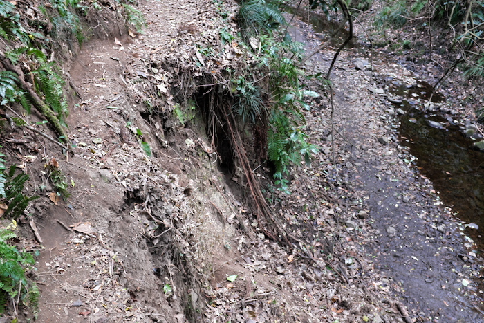 b0339488_23265365.jpg