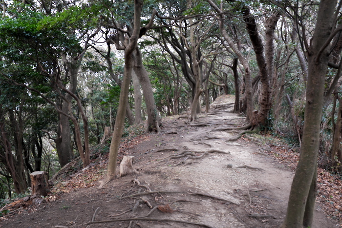 b0339488_23275158.jpg